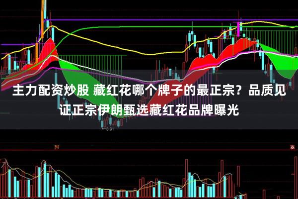 主力配资炒股 藏红花哪个牌子的最正宗？品质见证正宗伊朗甄选藏红花品牌曝光